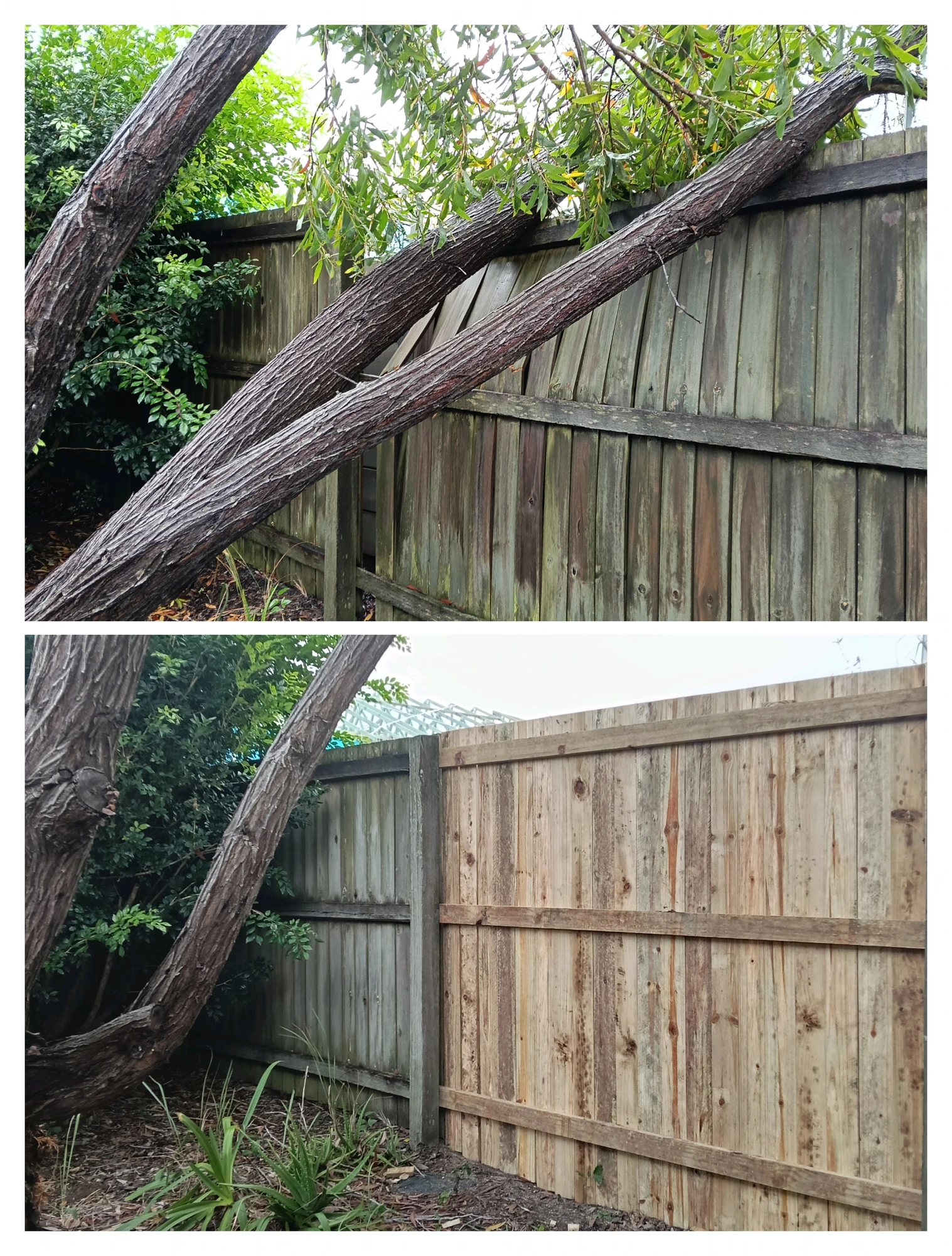 Storm-damaged timber fence repair